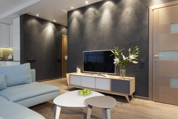 Modern interior of a small private apartment