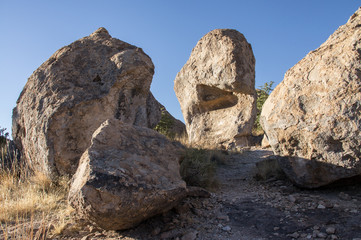 City of Rocks State Park, NM, USA