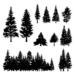 Pine Fir Forest Conifer Coniferous Tree Silhouette