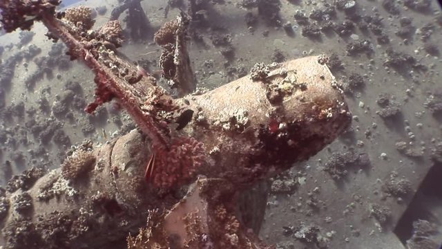 Screw close up ship wreck Salem Express on seabed underwater in Egypt. Extreme tourism on ocean floor in world of coral reefs, fish, sharks. Researchers of wildlife blue abyss. Deep diving.