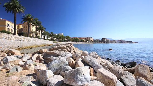 Ajaccio old city center coastal cityscape with palm trees and typical old houses, Corsica, France, Europe.  
