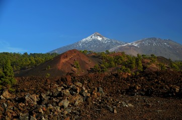Teide Blick