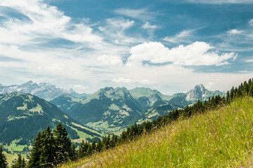 Summer scenic view in sunny day on fresh green meadows, pine trees, snowy mountains, forest and blue sky with white clouds.