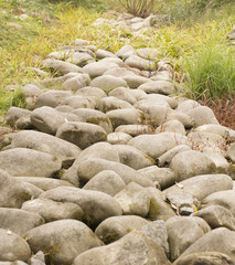 Path of granite stones boulders green grass just grows
