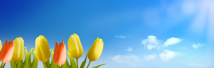 Frühling und Sommer Hintergrund