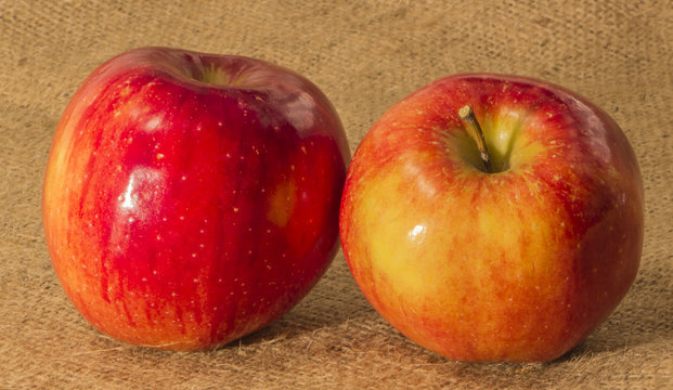 composition of red apples
