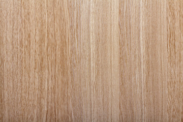 nature wood background, stock image