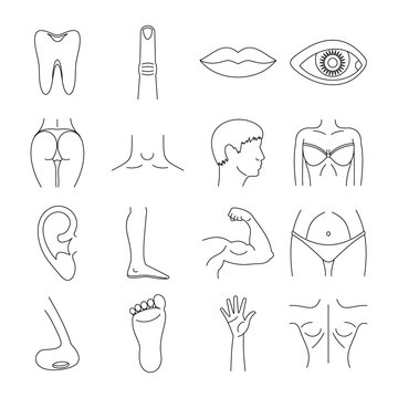 Body parts icons set, outline style