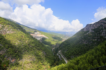 View of mountains covered with pine forests