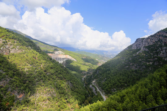 View of mountains covered with pine forests