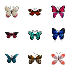 Fototapeta na wymiar Beautiful butterflies with open wings icons set