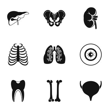 Bodies icons set, simple style