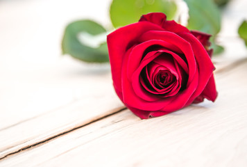 single red rose on wood table