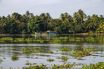 Indien - Kerala - Kochi - Backwater Tour