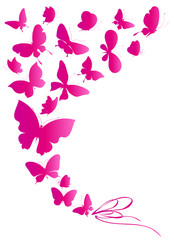 beautiful pink butterflies, isolated  on a white