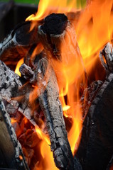 Fire - burning wood