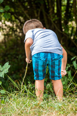 child exploring nature bordering forest