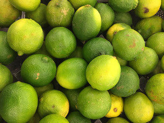 Limes fill horizontal frame