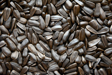 Top view of sunflower seeds.