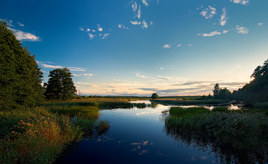 Obraz premium Evening on a quiet river channels in the woods