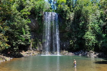 Fototapeta premium Millaa Millaa Falls in Atherton Tablelands, Australia