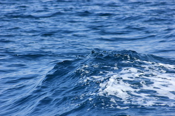 waves at sea