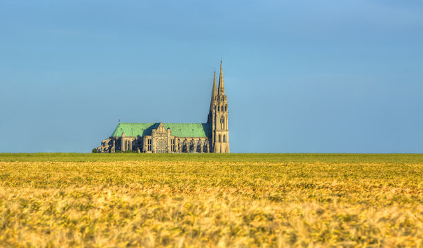Cathedral of Our Lady of Chartres