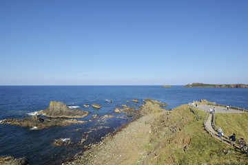 礼文島　スコトン岬
