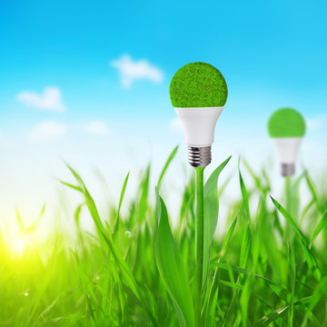 Eco LED light bulb on stem of plant. Concept of green energy.