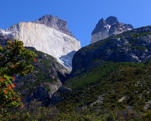 Large gorge cut through granit belowthe large cliffs in the famous Torres del Paine national park.