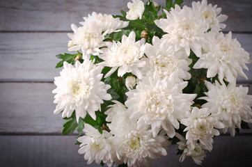 White Chrysanthemum in flower pot on grey wooden backround