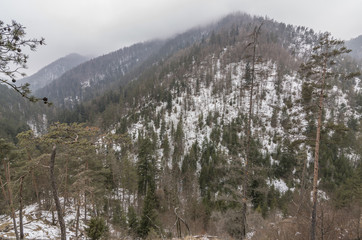 Biely creek with bridges and big hills