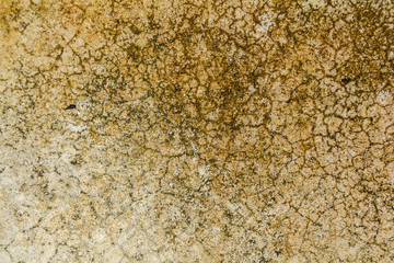Old stone wall crack Background