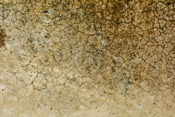 Old stone wall crack Background