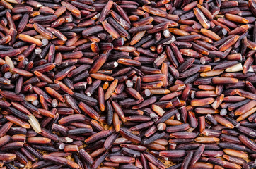 Raw Rice berry texture.