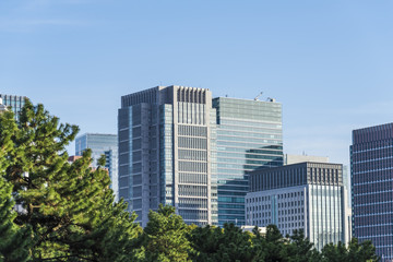 Obraz premium 東京のオフィスビル街
