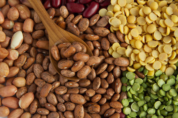 Pinto and nut seeds protein food concept