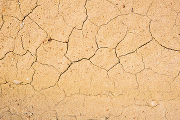 cracked soil background