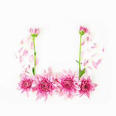 Frame of  pink chrysanthemum flower.