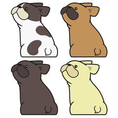 French Bulldog sitting and looking back