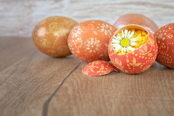 Easter eggs and daisy flower on wooden table
