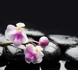 Naklejka na ściany i meble Still life with orchid with therapy stones 