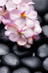 Obraz na płótnie Canvas branch white orchid with therapy stones 