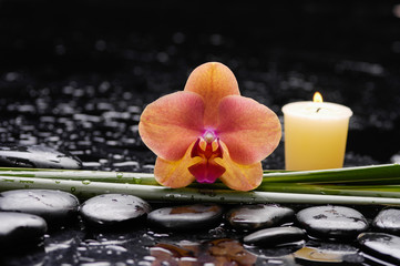 Fototapeta na wymiar orchid with long leaf and stones, candle on wet background
