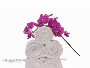 Pink branch orchid on three white roller towel