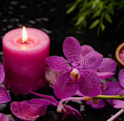 Fototapeta na wymiar still life with orchid ,candle with green plant and black stones 