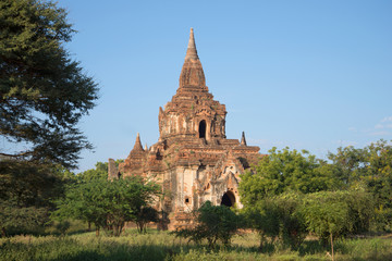 Fototapeta premium One of the temples of ancient Bagan in the bush on a sunny day. Myanmar