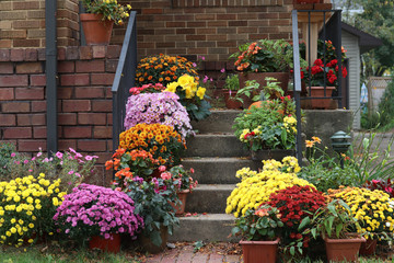 Fototapeta na wymiar Seasonal house outdoor decoration.Way to the main entrance stair of the stylish house decorated by colorful potted flowers for autumn holidays season.