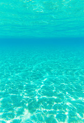 Tranquil underwater scene with copy space