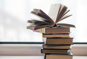 Many interesting books on the smooth surface of the window for informative reading
